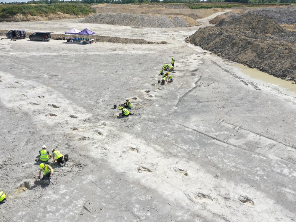 A team of 100 researchers from the Universities of Birmingham and Oxford uncovered around 200 dinosaur footprints along five trackways in southeast England during a week-long excavation in June 2024.