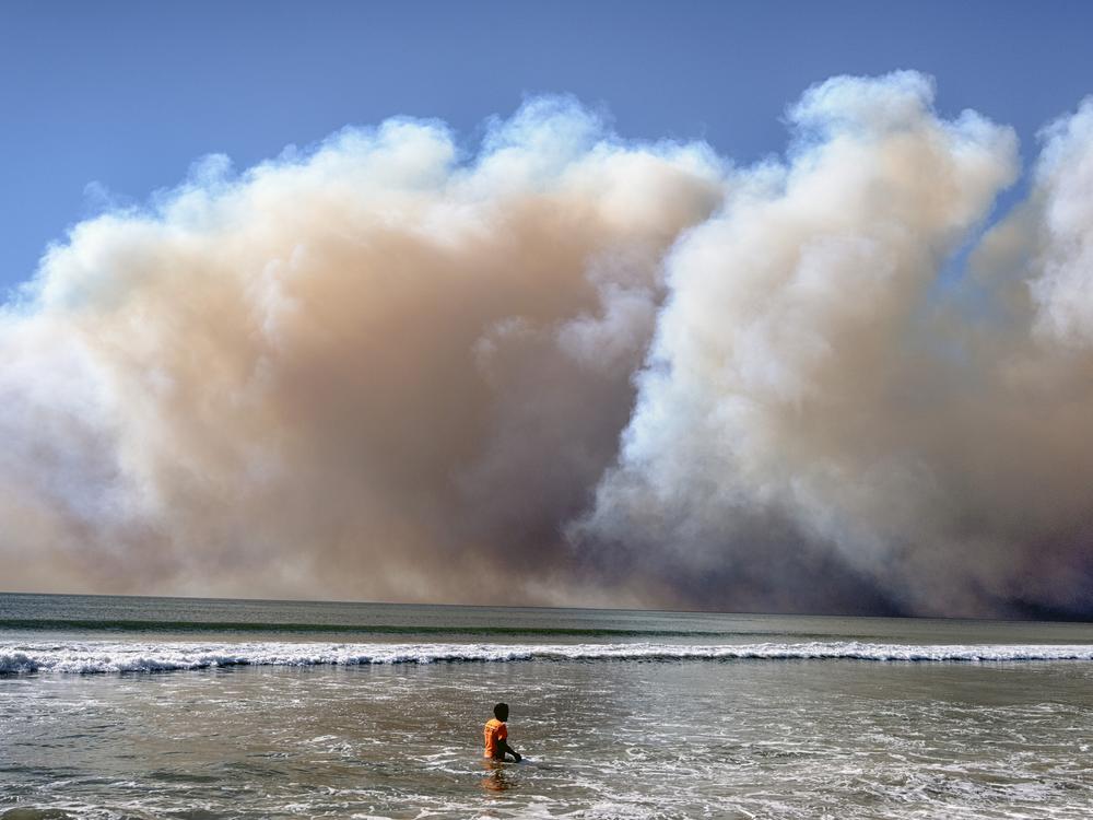 A swimmer watches as a large dark plume of smoke passes over the beach from a wildfire from Pacific Palisades, in Santa Monica, Calif., Tuesday, Jan. 7, 2025. (AP Photo/Richard Vogel)