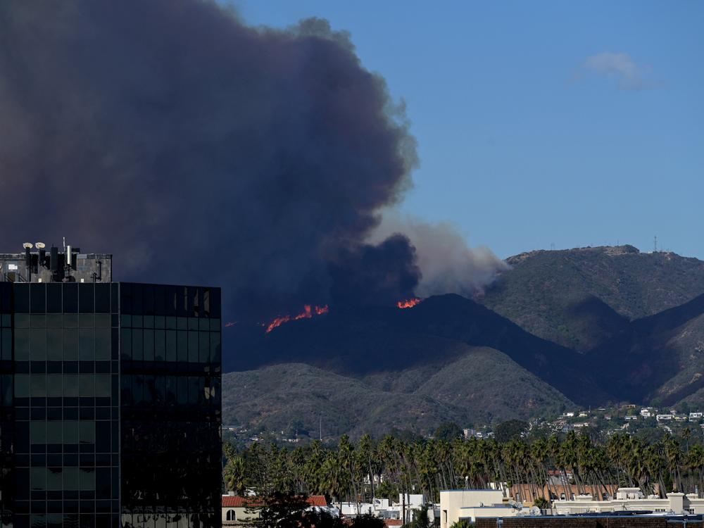 Plumes of smoke are seen as a brush fire burns in Pacific Palisades as seen from Santa Monica, California.
