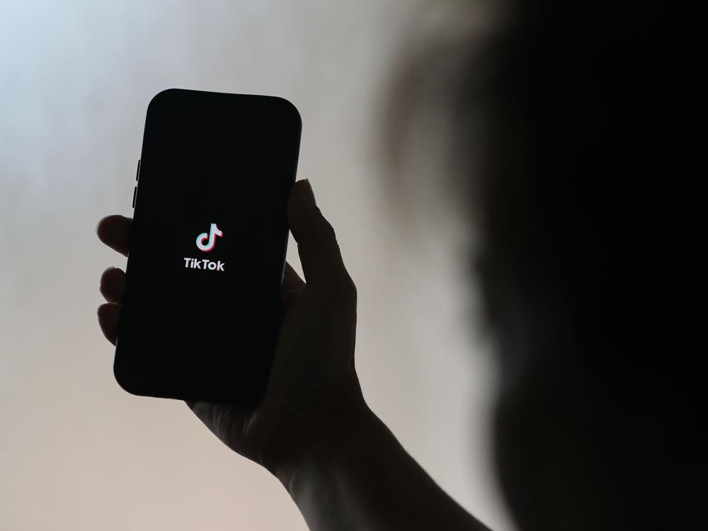 In a Supreme Court emergency hearing on Friday, lawyers for TikTok are expected to argue that banning the app will violate the free speech of 170 million American users. The Justice Department is expected to argue that the app is a national security risk.