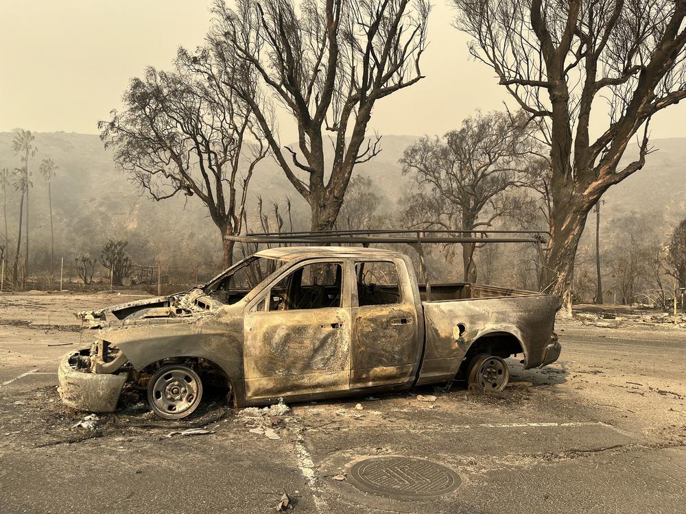 The Palisades Fire cut a wide path of destruction along the Pacific Coast northwest of Los Angeles. UCLA researcher Edith de Guzman says climate change and all the wooden homes around L.A. County have made it far tougher for firefighters.