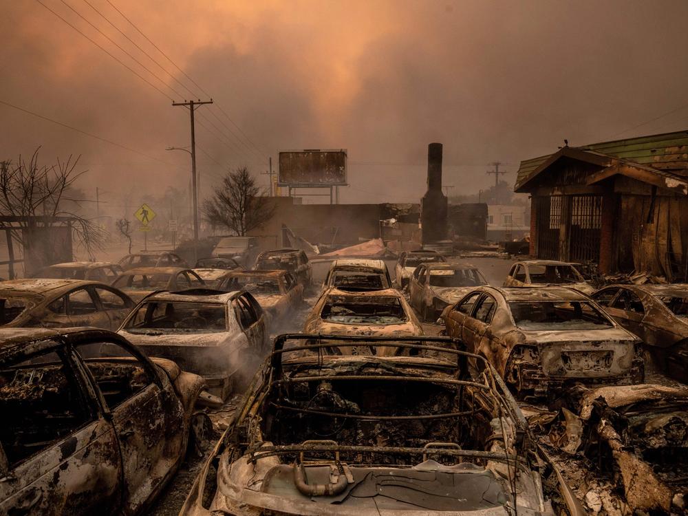 Wednesday, Jan. 8: Fire-damaged vehicles are lined up at a dealership after the Eaton Fire swept through Altadena, Calif.