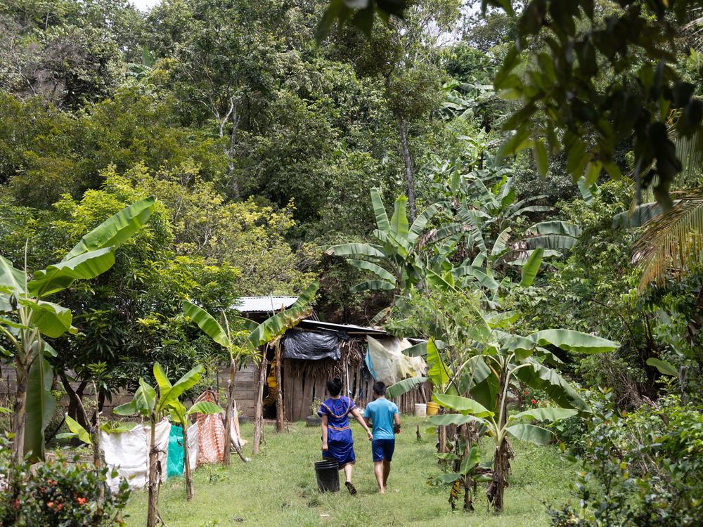 Children from the  Ngabe community in the village of Kuerima. The girl is carrying water to her home.