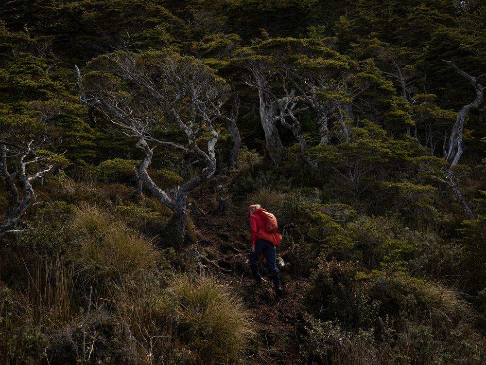 Kristine Tompkins, founder of Tompkins Conservation, hikes up to the Cross of the Seas located in the southernmost point of South America, in Patagonia, Chile, on Nov. 2, 2024.