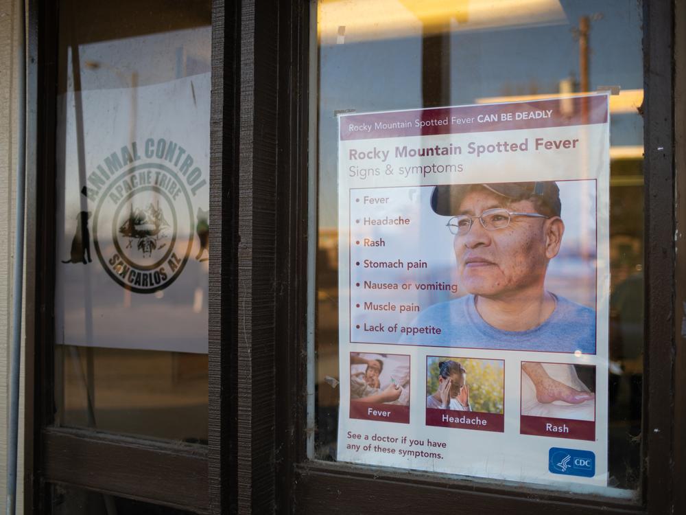 An informational poster at the San Carlos Animal Control clinic on the reservation advises the community about Rocky Mountain Spotted Fever.