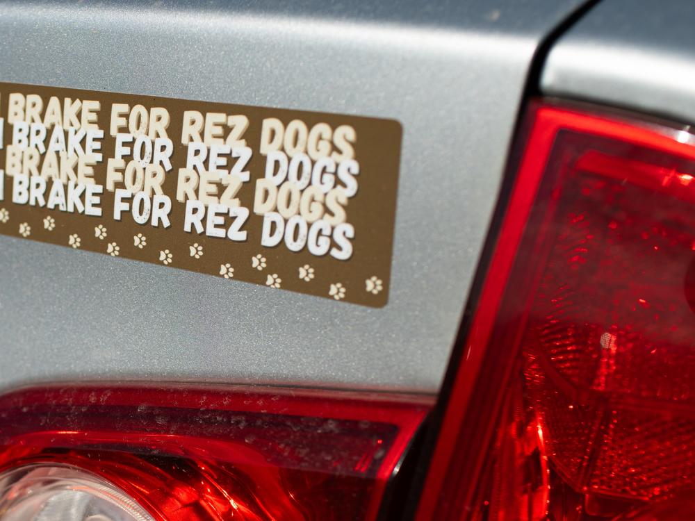 A bumper sticker made by Naelyn Pike, a local member of the San Carlos Apache Tribe. 