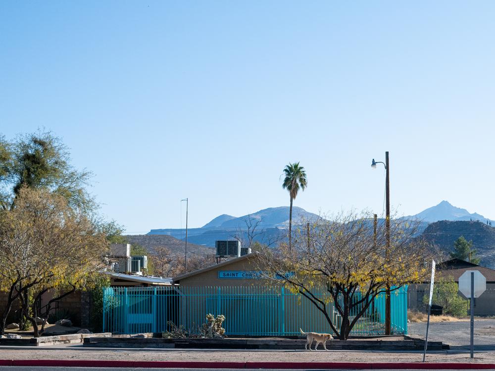 The Animal Control team for the San Carlos Apache Reservation, Ariz., led by Harty Bendle, estimates that each of the reservation's 2,200 or so households owns on average three or four dogs. That count doesn't include the many stray dogs that roam the reservation.