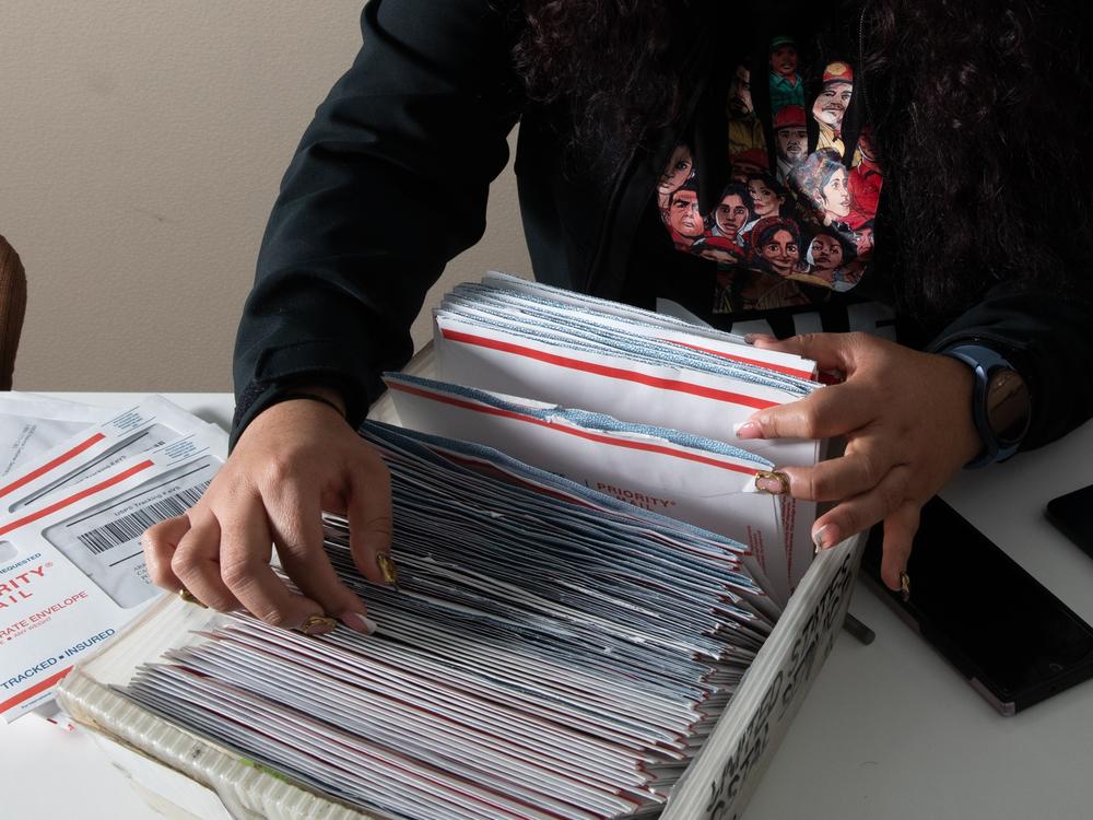 Martinez sorts through work authorization cards that have arrived for DALE applicants. The recipients will have protection from deportation for the next four years.