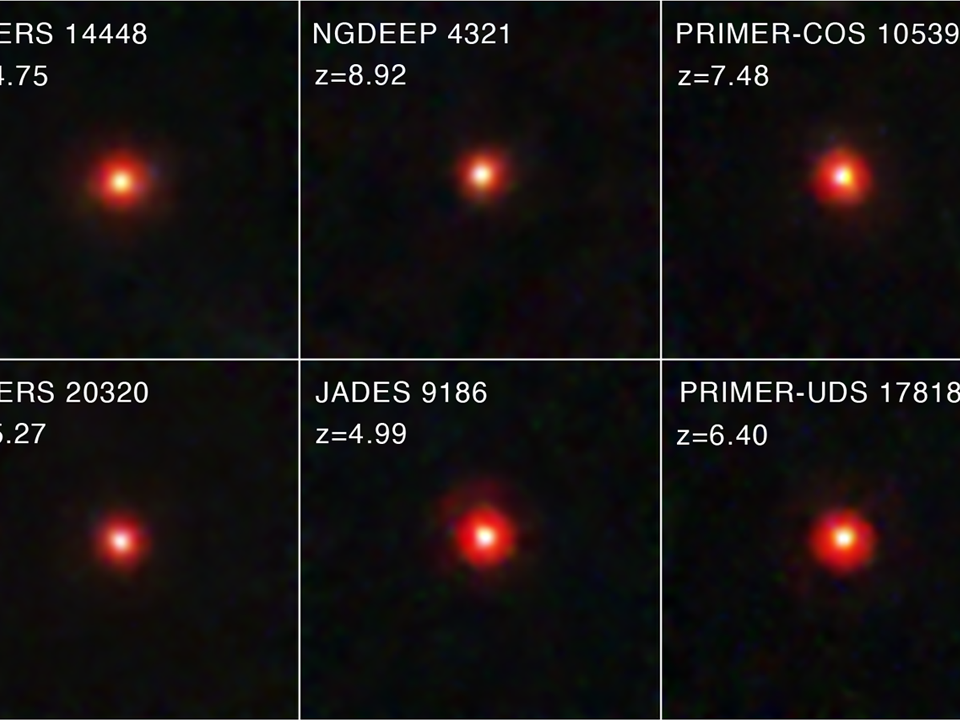 A team of astronomers sifted through James Webb Space Telescope data to compile one of the largest samples of 