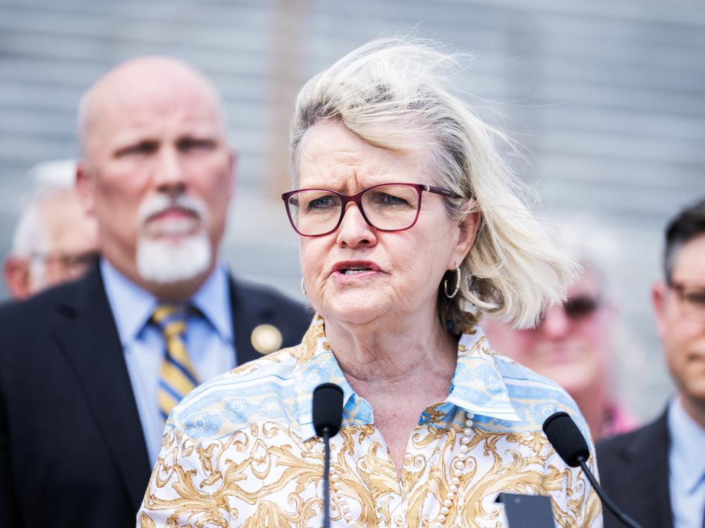 Cleta Mitchell, head of the Election Integrity Network, speaks during a May 2024 news conference outside the U.S. Capitol to introduce the Safeguard American Voter Eligibility (SAVE) Act, which would require proof of U.S. citizenship to register to vote in federal elections. The bill is sponsored by Rep. Chip Roy, R-Texas, who's at left.