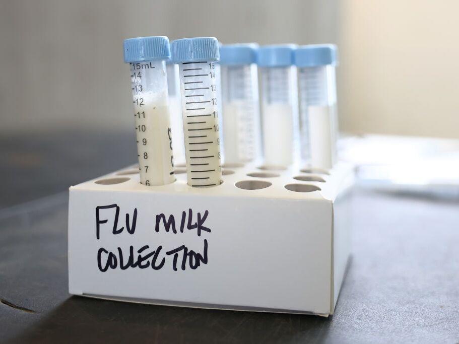 The U.S. Department of Agriculture in December issued a federal order that requires the testing of the nation's milk supply amid increasing concerns over bird flu, which is spreading among U.S. dairy herds.