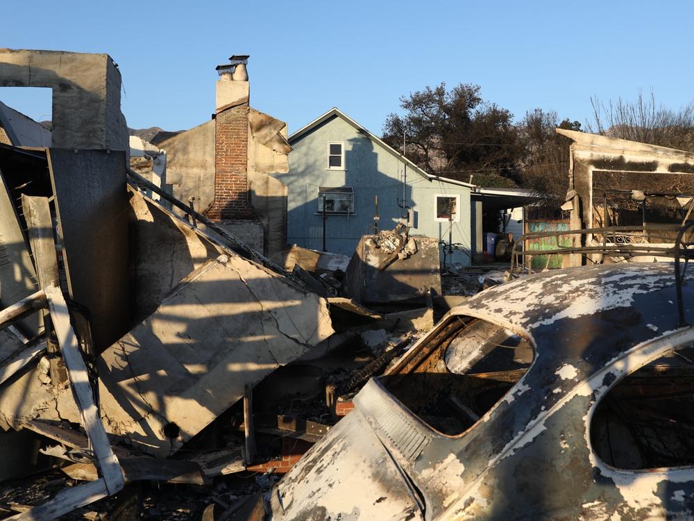 A teal house stands relatively unscathed behind a home destroyed by the Eaton Fire. An early analysis of the Los Angeles fires found that brush and wood fencing helped spread the fire from house to house.