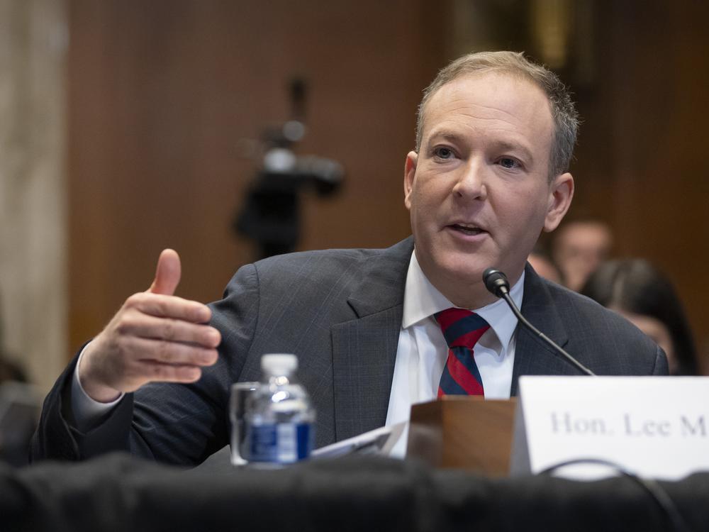 Former Rep. Lee Zeldin, R-N.Y., President-elect Donald Trump's pick to head the Environmental Protection Agency, appears before the Senate Environment and Public Works Committee on Capitol Hill.