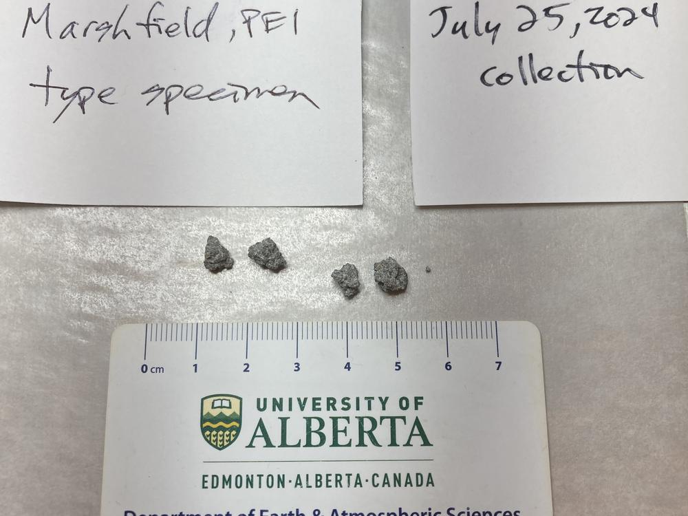Fragments of a meteorite that hit a home on Prince Edward Island, Canada, in July 2024.