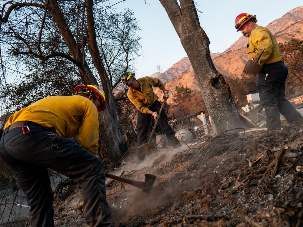 Firefighters with the Middleton Star Fire District work to clear hotspots on Jan. 19, 2025 in Altadena, California.