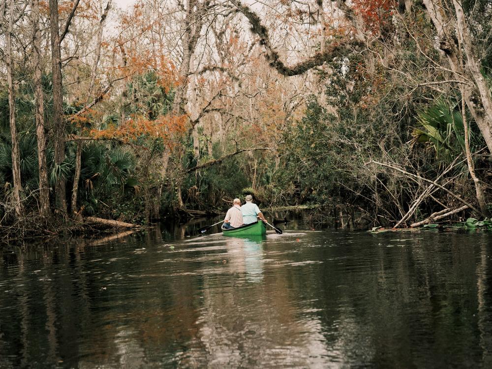 Jay Exum and reporter Greg Allen paddle along the Wekiva River on Dec. 11, at Wekiva Island in Longwood, Fla.