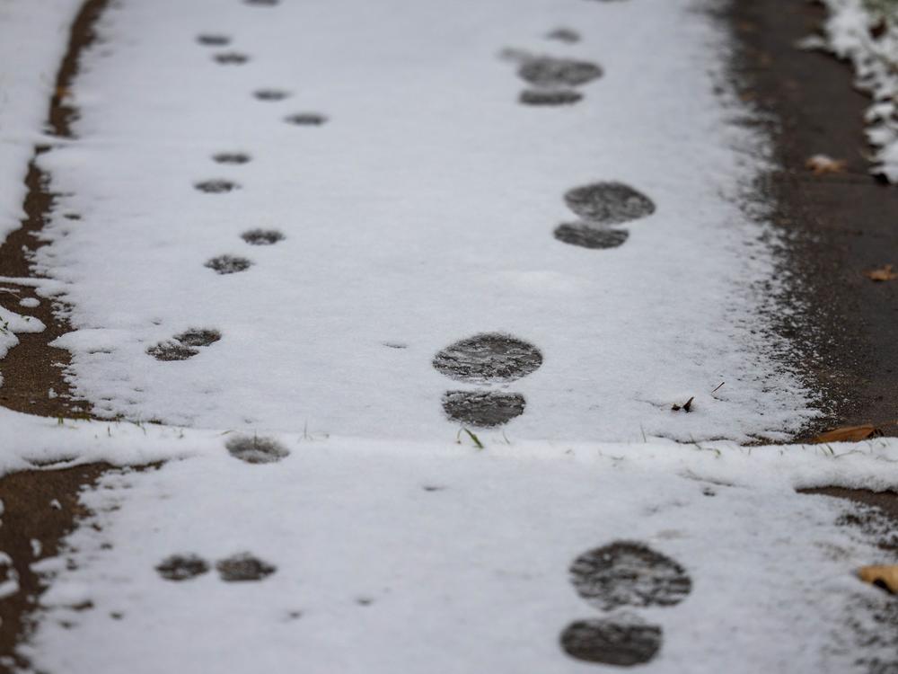 Austin, Texas: Snow dusts the ground in south Austin early on Jan. 21.
