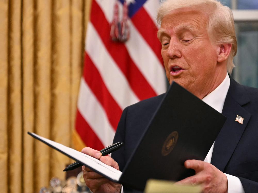 President Trump signed executive orders at the White House on Monday, one of which moves to revoke birthright citizenship for children born in the U.S. to parents with unlawful or temporary status.