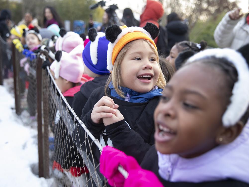 Students from the Yu Ying Public Charter School visit the Smithsonian National Zoo's Giant Pandas after performing at the opening ceremony on Friday, Jan. 24, 2025.