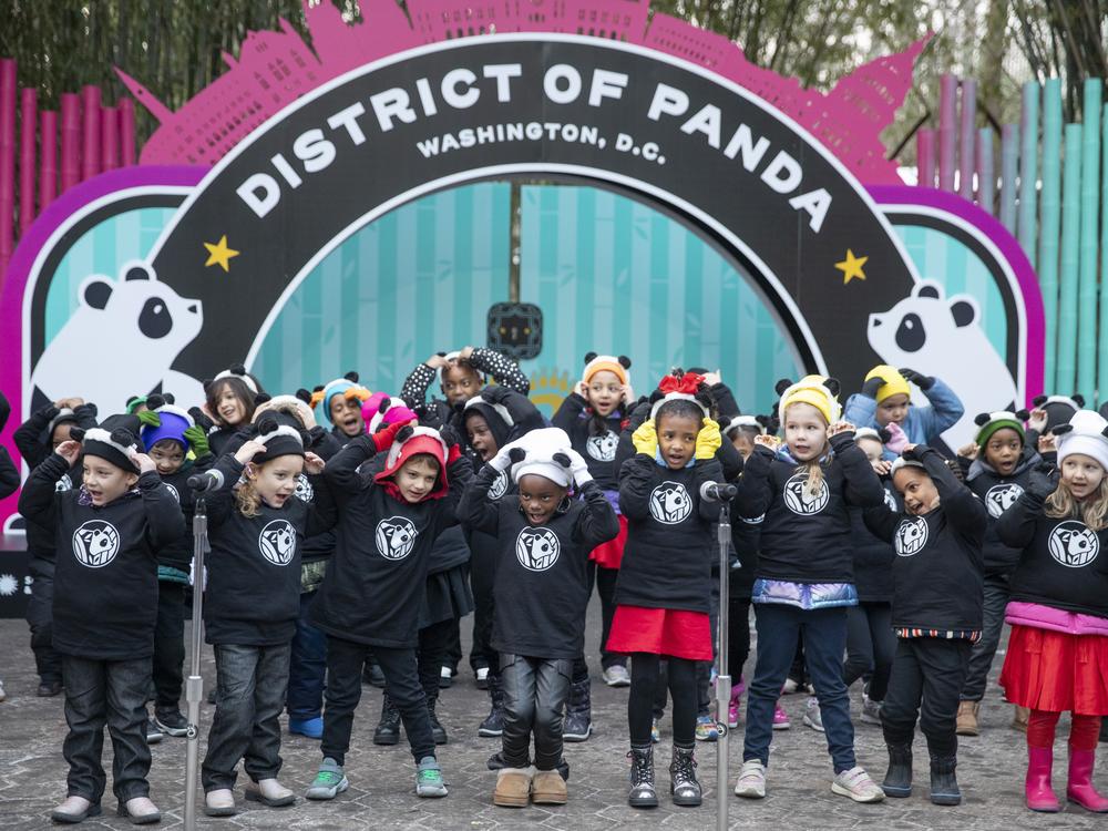 Students from the Yu Ying Public Charter School visit the Smithsonian National Zoo's Giant Pandas after performing at the opening ceremony on Friday, Jan. 24, 2025.