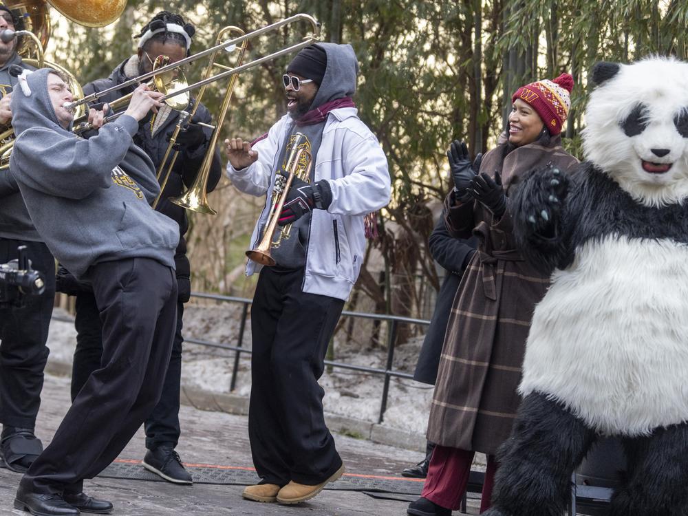 Washington D.C. Mayor Muriel Bowser, second from right, claps to the sounds of Crush Funk Brass Band during the opening ceremony celebrating the Smithsonian National Zoo's new Giant Pandas on Friday, Jan. 24, 2025.