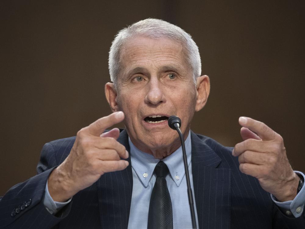 Anthony Fauci, then the director of the National Institute of Allergy and Infectious Diseases, testifies during a hearing at the Capitol in Washington, Sept. 14, 2022.
