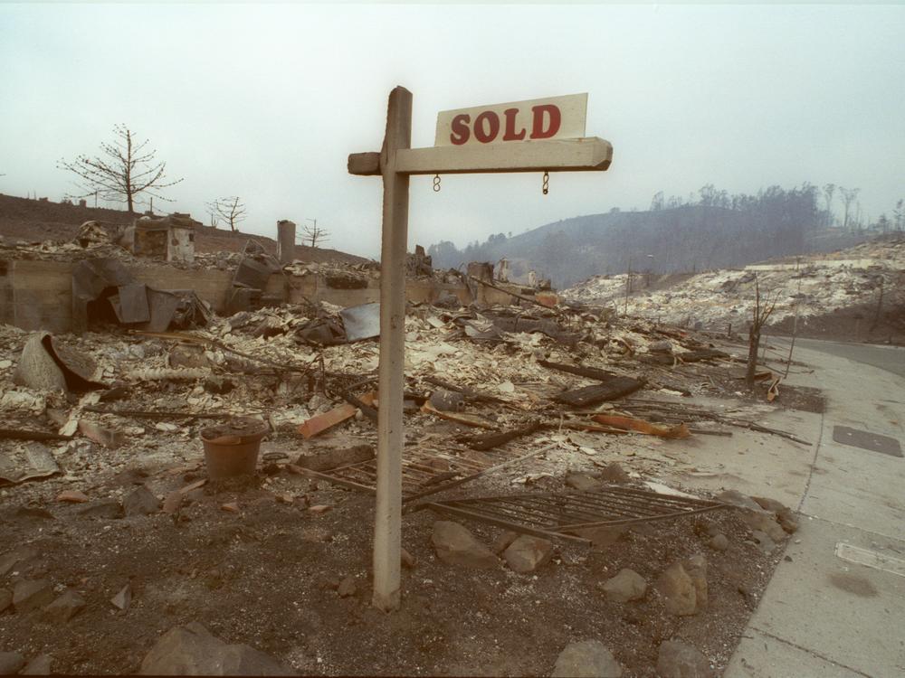 Real estate sign left standing amidst smoldering ruins of Oct. 20, 1991 Oakland hills fire.