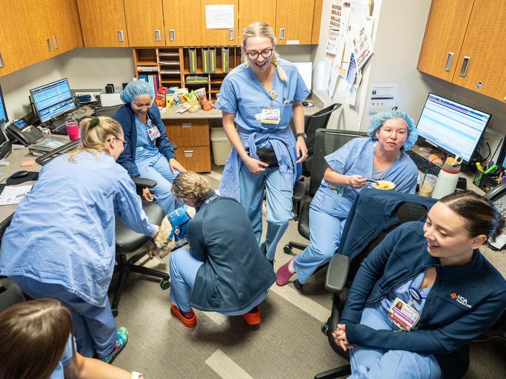 Nurses on a break crowd around to pet Peppi, a Canine Companion dog, in November at Denver's HCA HealthONE Rose medical center.