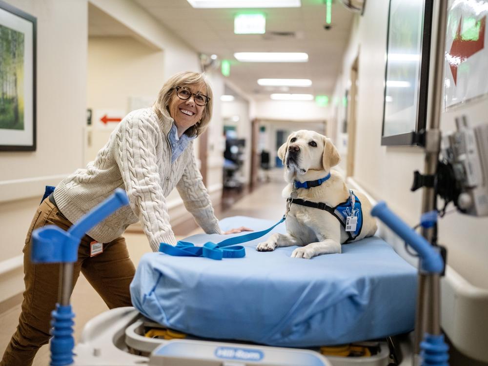 Peppi, a Canine Companion dog, takes a break at Denver's HCA HealthONE Rose medical center with her handler, emergency medicine physician Susan Ryan, in November.
