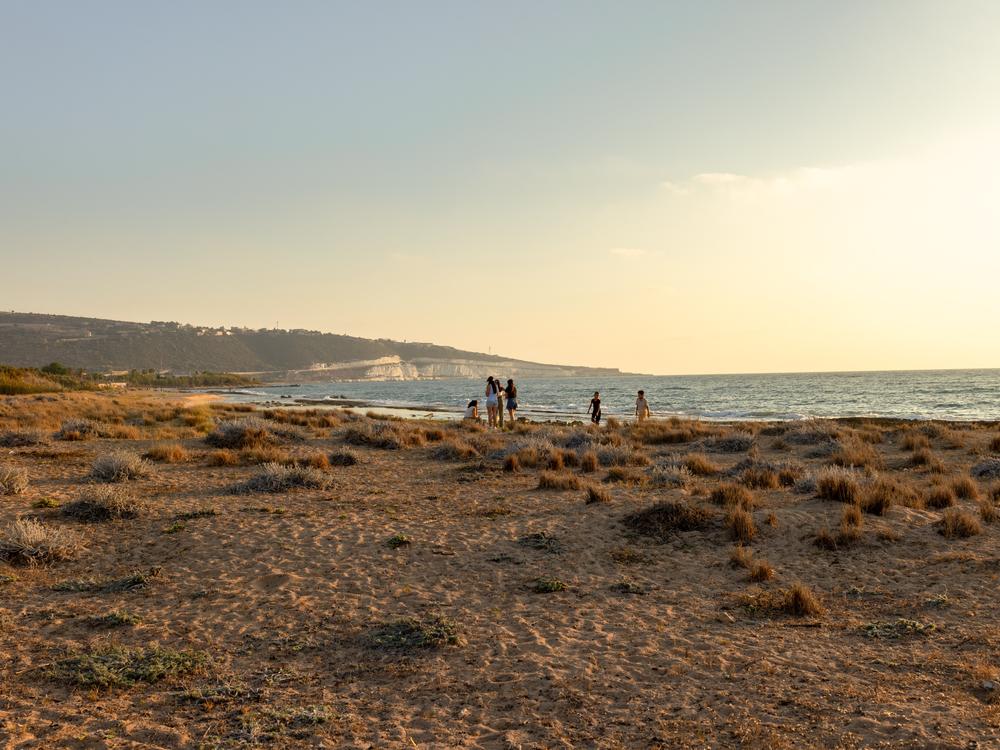 Whole families sometimes gathered for the occasion of a sea turtle hatching, on Mansouri Beach, southern Lebanon.