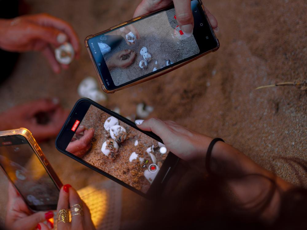 Volunteers take cellphone videos of the moment sea turtles hatch on Mansouri Beach in southern Lebanon, on Sept. 8, 2024.