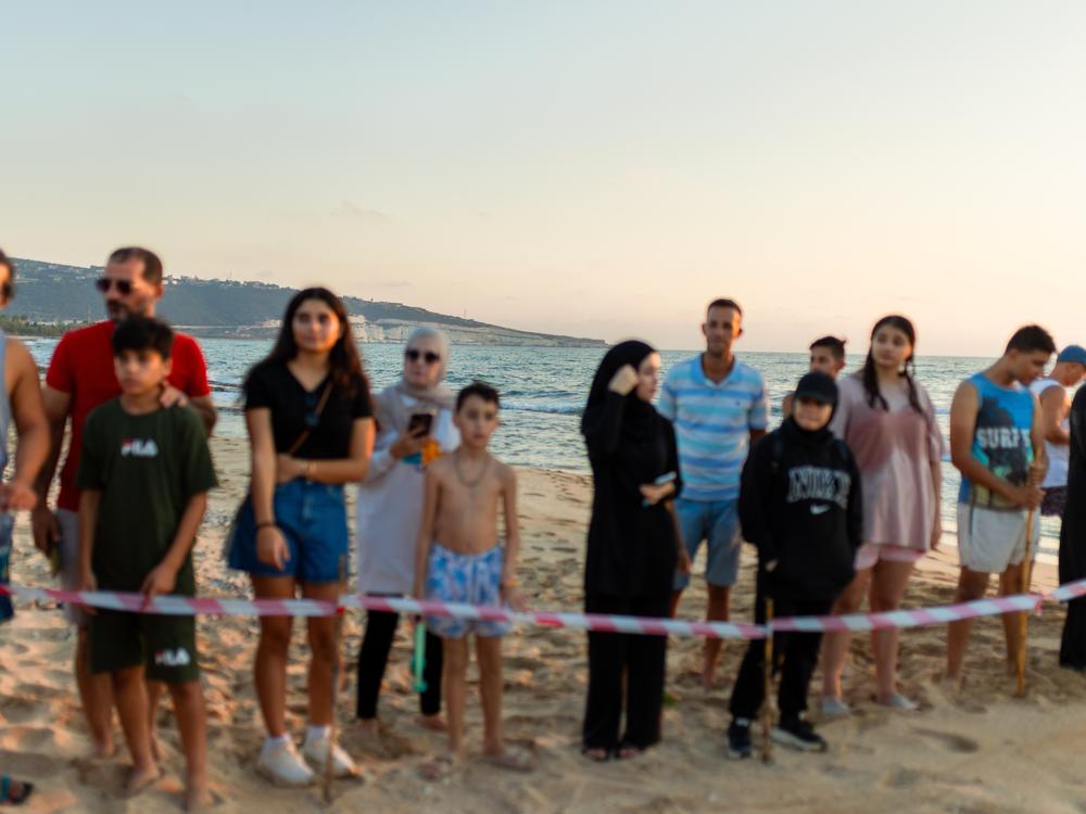 The volunteers and other turtle lovers are eager to get back to the beach after the war between Israel and Hezbollah made it too dangerous.
