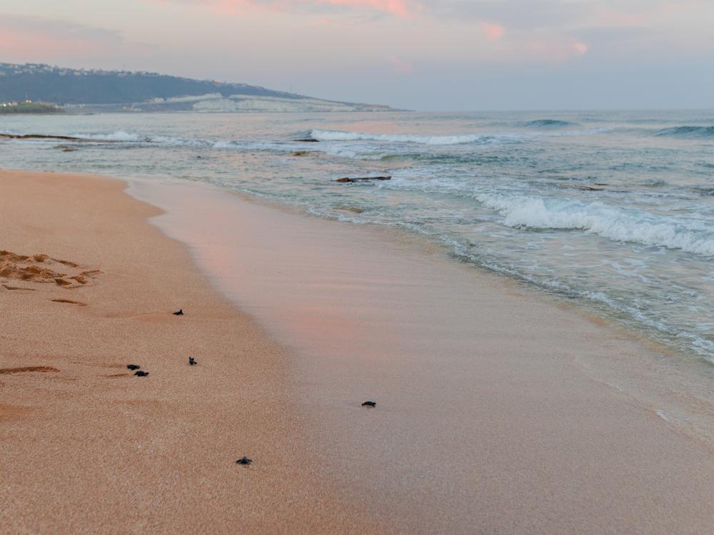 A view of Mansouri Beach in southern Lebanon. Just a couple of miles south of here, there was daily fighting between Israeli forces and the Lebanese militant group Hezbollah that started in October 2023.