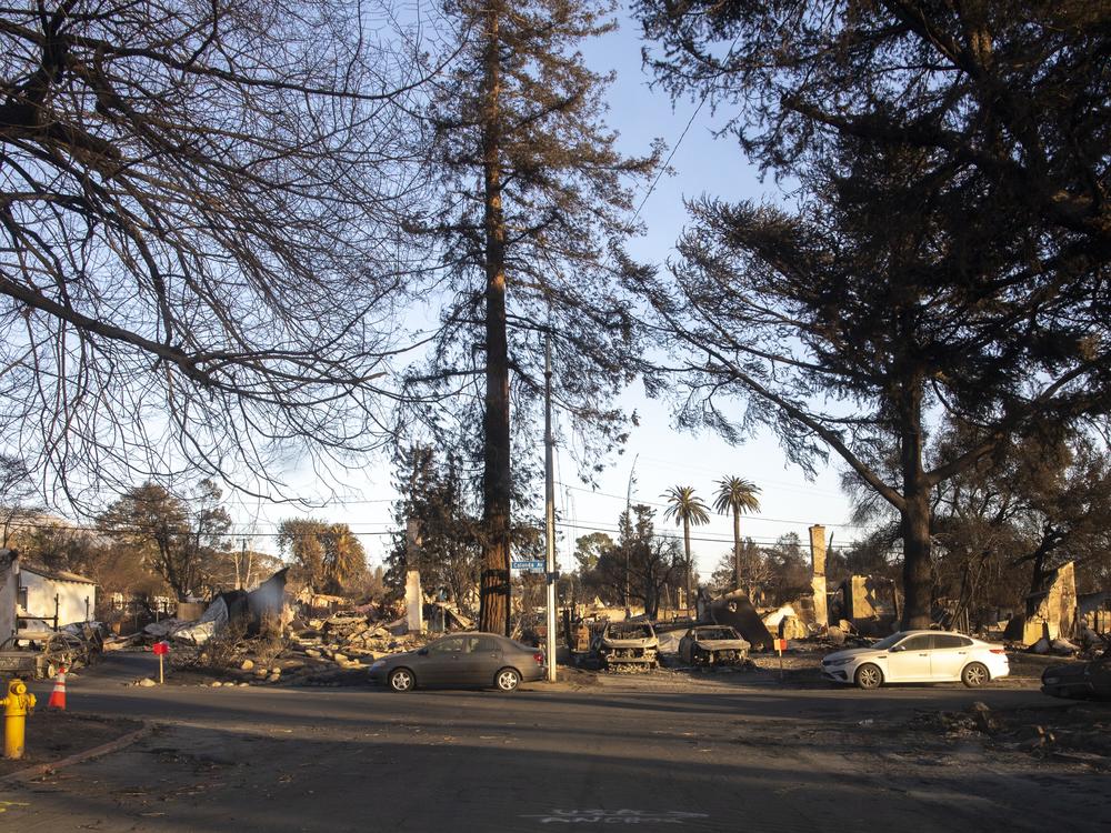 Days after the fire spread through Altadena, homeowners are returning to see what might be salvaged from the destruction.