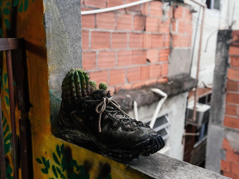 Greenery is afoot in favelas — on roofs and ... even in shoes.