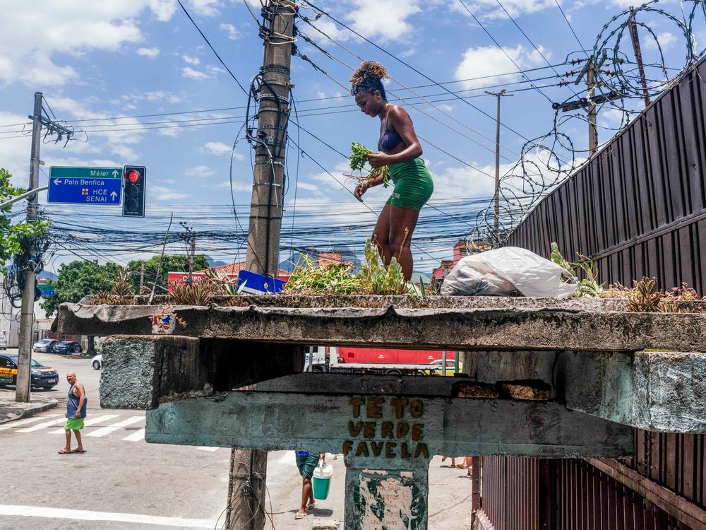 Jessica Tapre repairs a green roof in a bus stop in Benfica, Rio de Janeiro, Brazil.