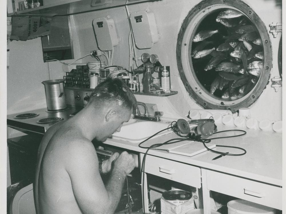 Aquanaut Berry Cannon works inside the Sealab II habitat as a school of fish cluster outside a viewport.