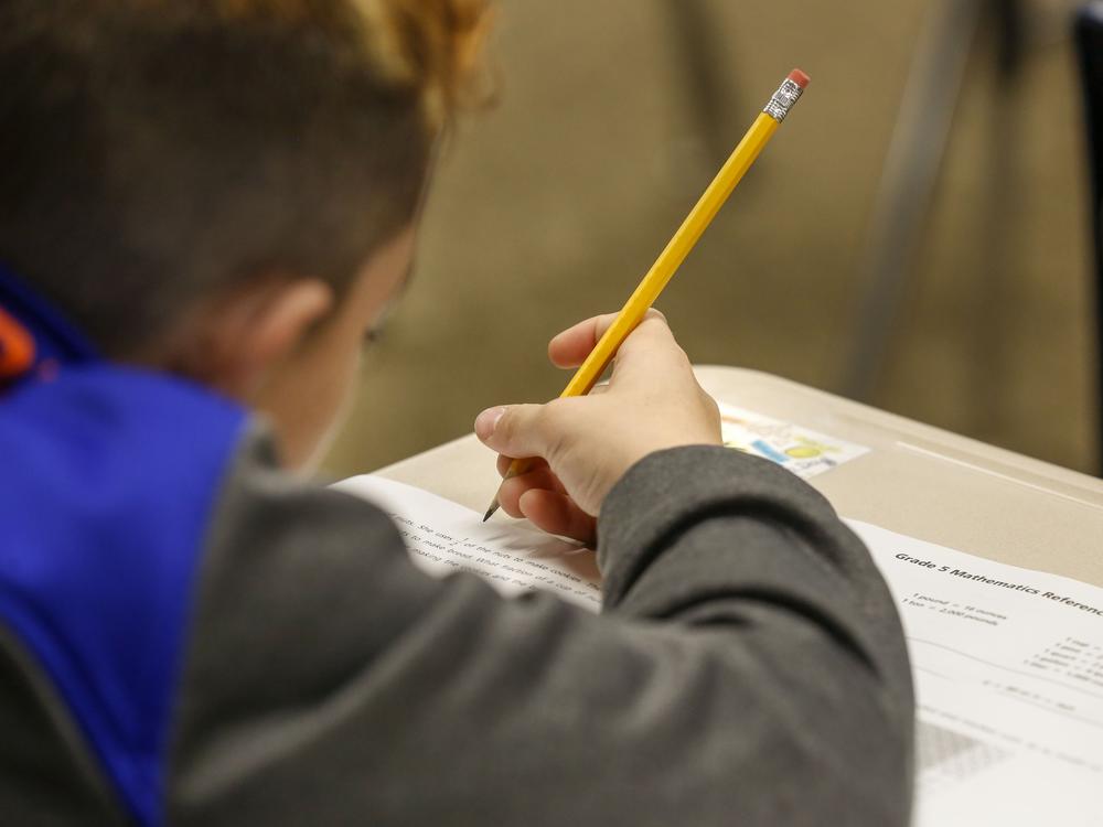 A student at Longwood Middle School in Middle Island, N.Y., takes a math test.