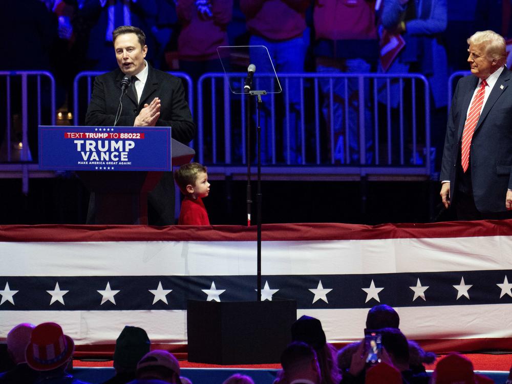 Billionaire Elon Musk (left) is seen as the architect of the 
