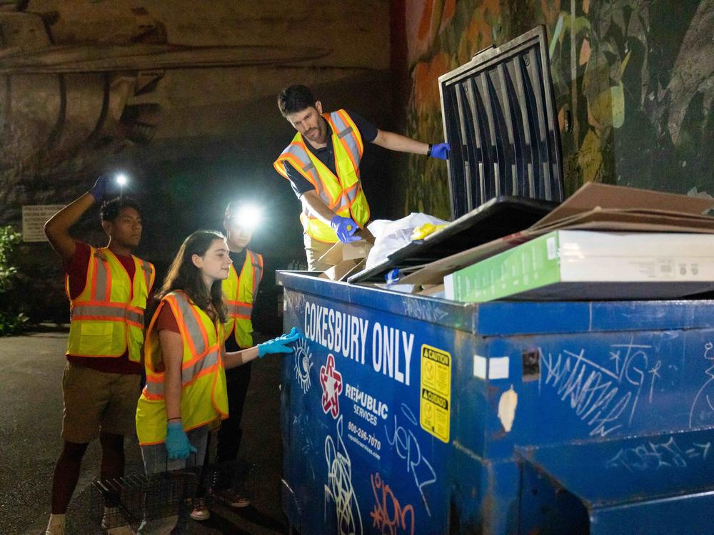 Jonathan Richardson and his students study what makes rat populations grow in cities.