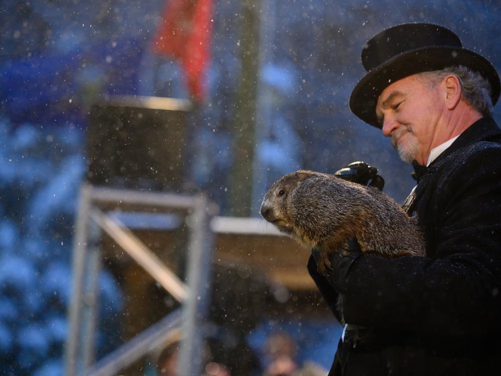 Groundhog handler John Griffiths holds Punxsutawney Phil, who did not see his shadow, in 2020.