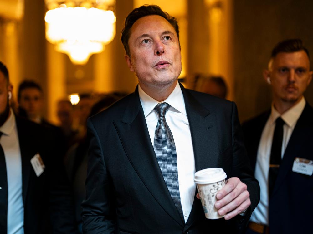 Elon Musk is pictured at the U.S. Capitol on Dec. 5.