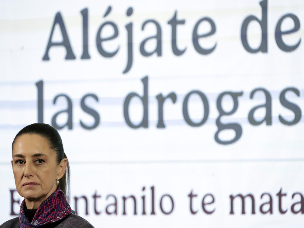 Claudia Sheinbaum, president of Mexico, recently launched an anti-fentanyl campaign aimed at discouraging her country's citizens from using the drug. Experts say before President Trump announced tariffs against Mexico, Sheinbaum was already taking tougher action against drug cartels.
