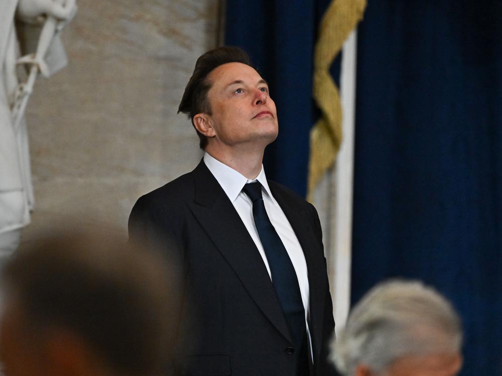 Elon Musk arrives ahead of the Inauguration of Donald Trump at the U.S. Capitol on Jan. 20. Trump has tasked the billionaire owner of Tesla and X with leading a new government entity being called the Department of Government Efficiency, or DOGE.