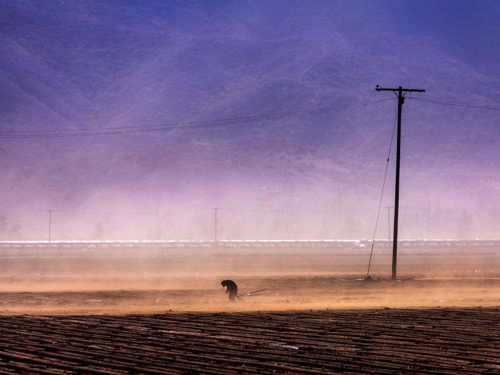 A farmworker laboring through high winds near a brush fire in Camarillo, CA on Jan.23, 2005. Employers in California are legally required to provide N95 respirators to workers when the Air Quality Index reaches 150.