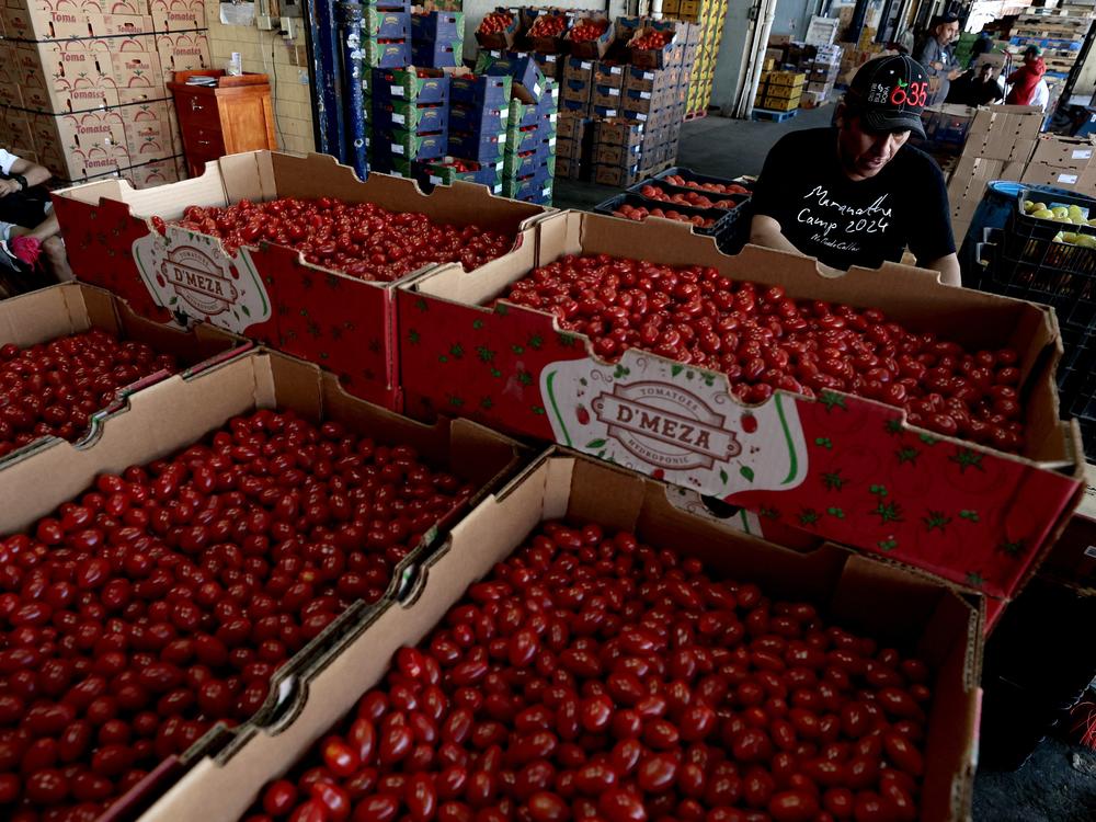 The U.S. relies on fruits and vegetables imported from Mexico, especially in the winter. Here, a farmer selects the best tomatoes for sale at the Central de Abastos market in Guadalajara, Mexico, last week.