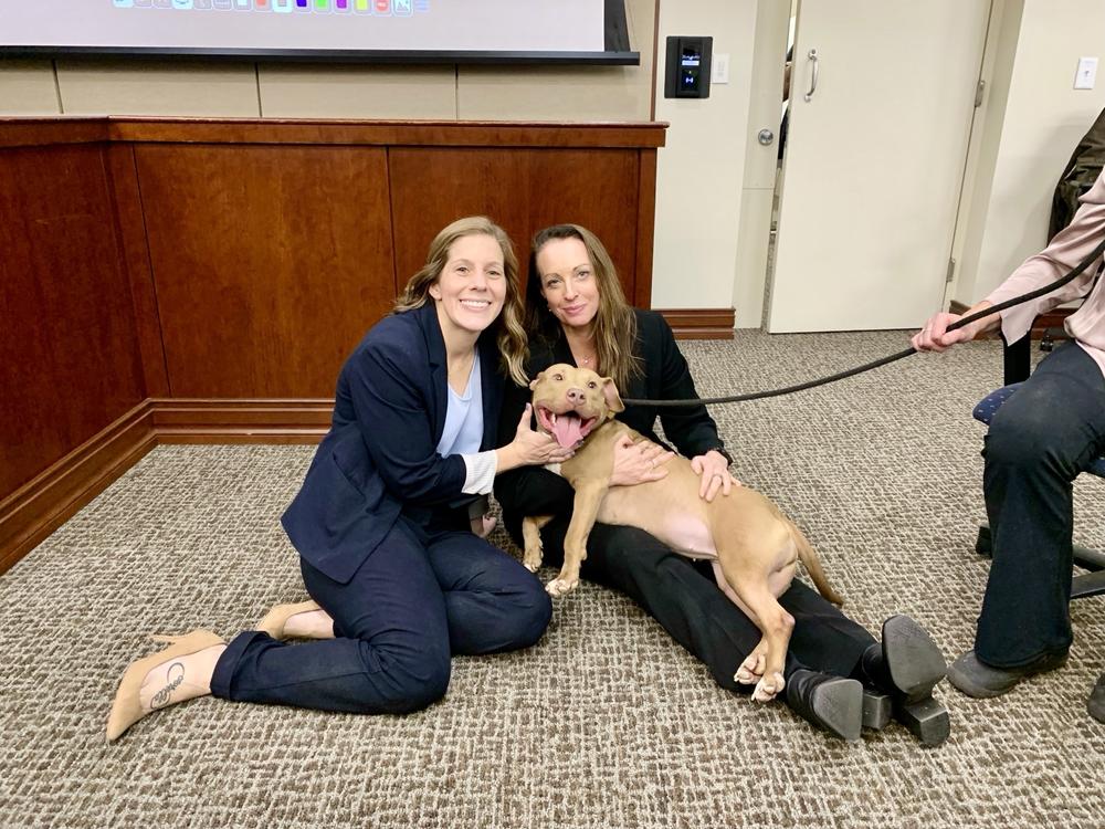 Prosecutors Jessica Rock, right, and K.C. Pagnotta pose with Baby Shark — who was rescued from the alleged dogfighting operation as a puppy in 2022 — at the sentencing last week.