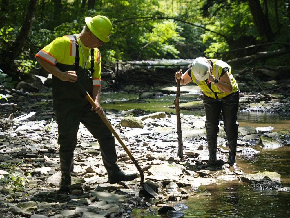 Environmental Protection Agency workers work in Leslie Run in East Palestine, Ohio on June 12, 2024.