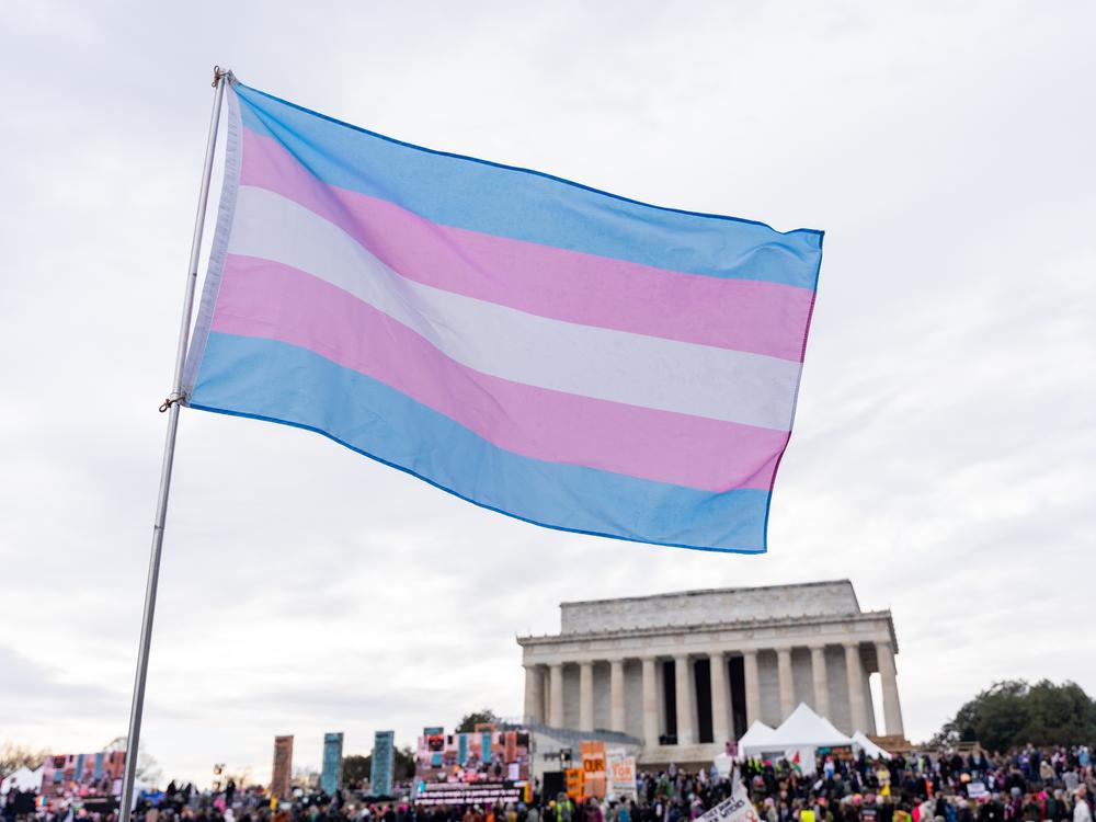 A person waves a transgender pride flag during the People's March and rally to the Lincoln Memorial in Washington, D.C., United States, on Jan. 18.