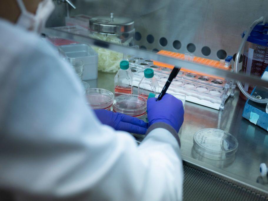 A laboratory studying sickle cell disease at the National Heart, Lung, and Blood Institute's Cellular and Molecular Therapeutics Laboratory, at the National Institutes of Health on Feb. 8, 2024, in Bethesda, Md.